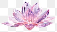 PNG Flower crystal petal plant.