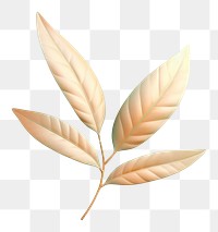 PNG Leaf leaf plant invertebrate.