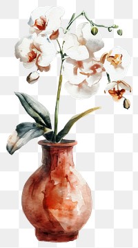 PNG  Vase flower watercolor orchid plant art.