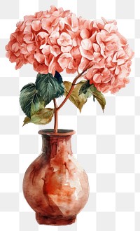 PNG  Vase flower watercolor art hydrangea plant.