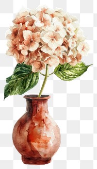 PNG  Vase watercolor flower art hydrangea.