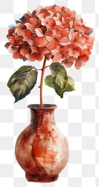 PNG  Vase watercolor flower art hydrangea.
