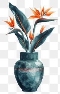 PNG  Vase watercolor flower plant art.
