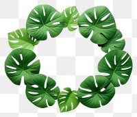 PNG Plant green leaf accessory.