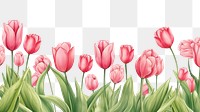 PNG Tulip tulip backgrounds flower.