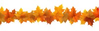 PNG Autumn leaves backgrounds maple plant.