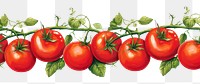 PNG Tomato vegetable plant food.