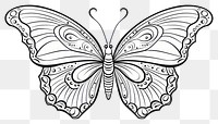 PNG A butterfly drawing pattern sketch.