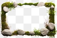 PNG Grass field small plant and stones outdoors nature frame