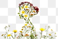 PNG Flat flower mother silhouette shape nature plant petal.