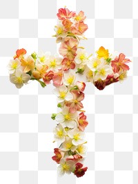 PNG Flat flower cross icon shape symbol petal plant.