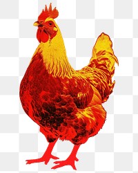 PNG Silkscreen of a chicken poultry animal yellow.