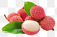 PNG Lychee fruit berry plant.