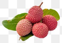 PNG Lychee plant fruit berry.