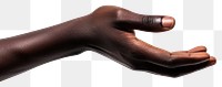 PNG Finger adult hand person.