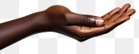 PNG Finger adult hand person.