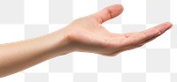 PNG Finger adult hand gesturing.