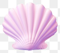 PNG  Sea shell seashell clam invertebrate.