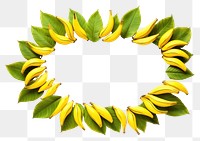 PNG  Banana leavesborder sunflower plant petal.