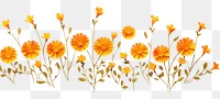 PNG  Marigold floral border flower pattern plant.