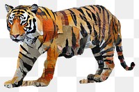PNG Tiger art wildlife animal.