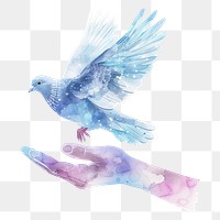 PNG Hand holding dove in Watercolor style animal bird creativity.