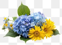 PNG Bouquet from blue hydrangeas and yellow asters sunflower plant petal