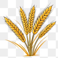 PNG  Cute wheat clipart agriculture plant field.