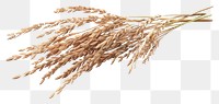 PNG  Rice wheat food agriculture.