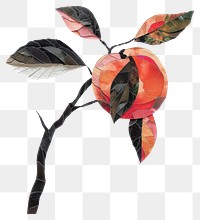 PNG  Peach nature plant fruit.