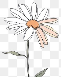 PNG Continuous line drawing daisy flower plant white art.