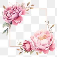 PNG  Peony frame watercolor pattern flower plant.
