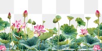 PNG Lotus line horizontal border outdoors flower plant