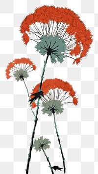 PNG An isolated dandelion flower art plant.
