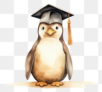 PNG Penguin wearing graduate hat animal bird 