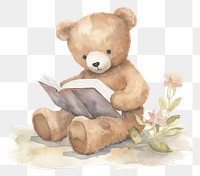 PNG  Teddy bear book cute toy