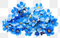 PNG Spring blue flowers nature petal plant.