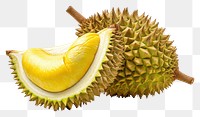 PNG Durian fruit plant food.