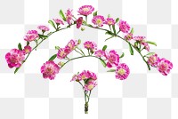 PNG Flat floral wifi shape flower petal plant.