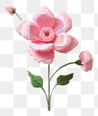 PNG Pink flower petal plant rose.