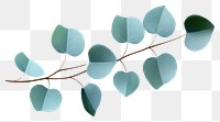 PNG Botanical illustration Eucalyptus leaves plant leaf appliance.