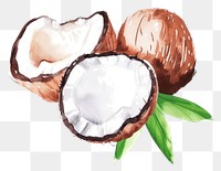 PNG Coconut milk plant food white background.
