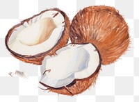 PNG Coconut milk food white background freshness.
