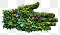 PNG Living wall plant vegetable broccoli.