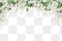 PNG  Flower backgrounds outdoors blossom