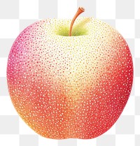PNG  Apple fruit plant food.