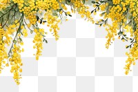 PNG  Flower backgrounds blossom yellow