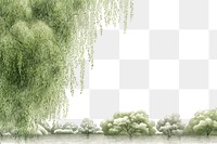 PNG  Willow tree landscape outdoors