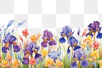 PNG  Iris blossom flower plant