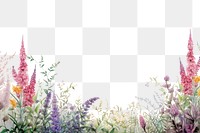 PNG  Flower backgrounds outdoors nature